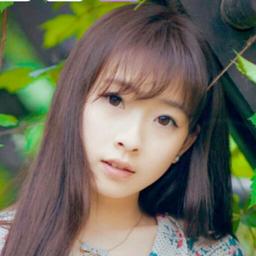樱花小猫∞