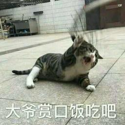 用戶頭像
