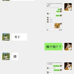 用户头像