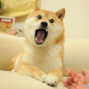 星君砍翻你哦!