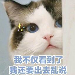用戶頭像