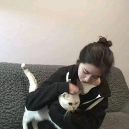 用戶頭像