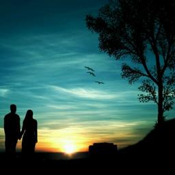 黑白配色的告白