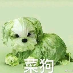 用戶頭像