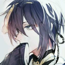 如贤似光