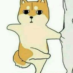 月月丶叔