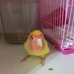 用户头像
