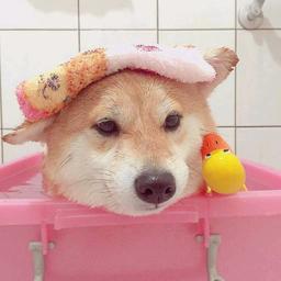 我喜欢你>3<
