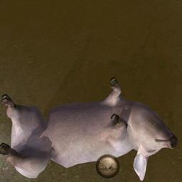 「小松のKOMATSU」