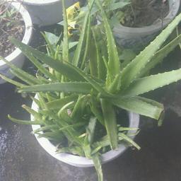 内心的孤独