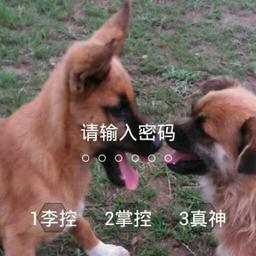 掌控真神！[李控]