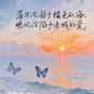 皎洁的月光y