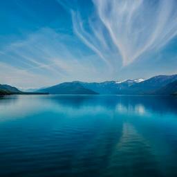 硕大无比的屁股