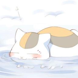 猫咪老师.