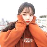 吹来一阵可爱风