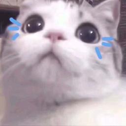 野渡无人舟自横