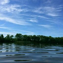 此处省略七个字