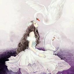 蝶澈@