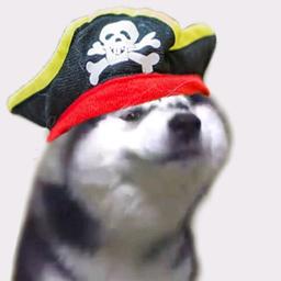 这名字我想了很久