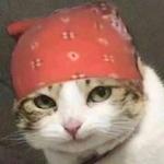 用戶頭像
