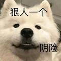用戶(hù)頭像