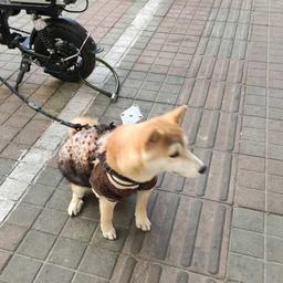 用户头像