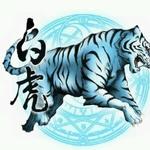 用戶頭像