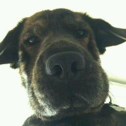 什么昵称还没有被注册