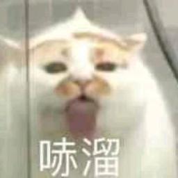 ^.^️‍^.^小陌喔^.^️‍^.^