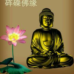 孤独战狼 杨