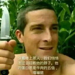 用户头像