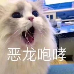 用戶頭像