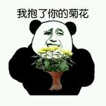 操い你ぅ菊が花そ