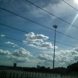 圣诞节快乐 (๑• . •๑)