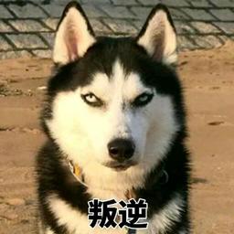 南城以男少年愁