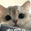 用戶頭像