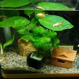 此处省略……字