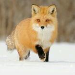 这个名字已经存在