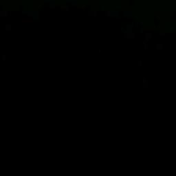 看到有人在上网