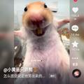 用戶頭像