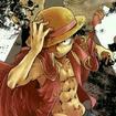 YYH5200604