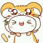 o进击的喵小美o