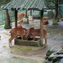 用戶頭像