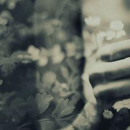 听说下雨天巧克力和音乐更配哟