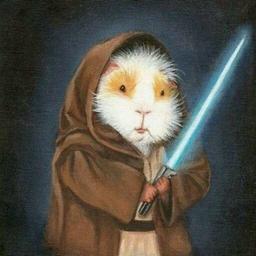 animobcat