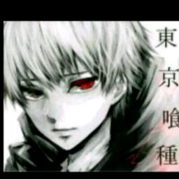 龙城cshd