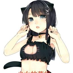 黑猫骑士团团长