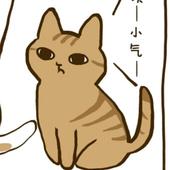 喵喵(｡･ω･｡)ﾉ♡