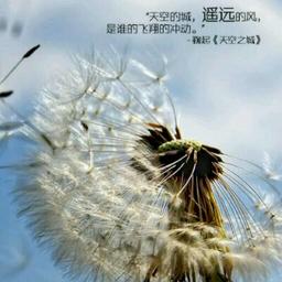 yyh@137504465058
