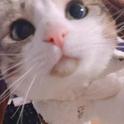 Nikki_209